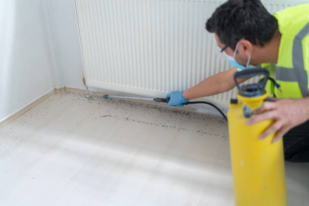 Best Pest Control Near Me in Princeton, NC